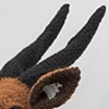 Bushbuck