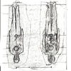 Prints Drawings Videos