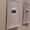 Shadows of Trees exhibit