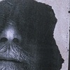 Doppelganger #3