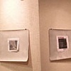 Shadows of Trees exhibit