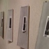 Shadows of Trees exhibit