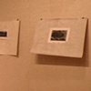 Shadows of Trees exhibit
