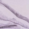 figure studies