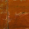 duo exhibits