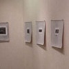 Shadows of Trees exhibit