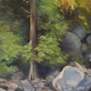 Yosemite's Rocks