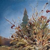 Pomegranate Tree