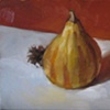Gourd and Seedpods
