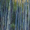 Aspens II