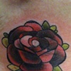 rose after