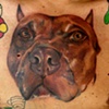Big Pitt