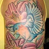 bluebird and lillies