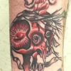 timmy b skull