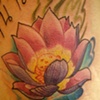 lotus on side of tummy