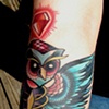 Half Owl