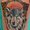wolf