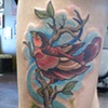 bird and paint brush