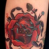 Spider rose