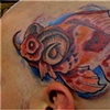 horny goldfish