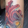 rose heart skull morph