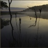 Morning Reflections