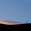 Lone Tree and Cloud
