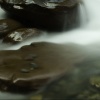Avalanche Creek