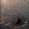 Galveston Bay