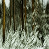Blurry Trees #1