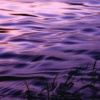 Purple Satin