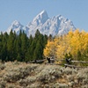 Tetons from Lucy's Place