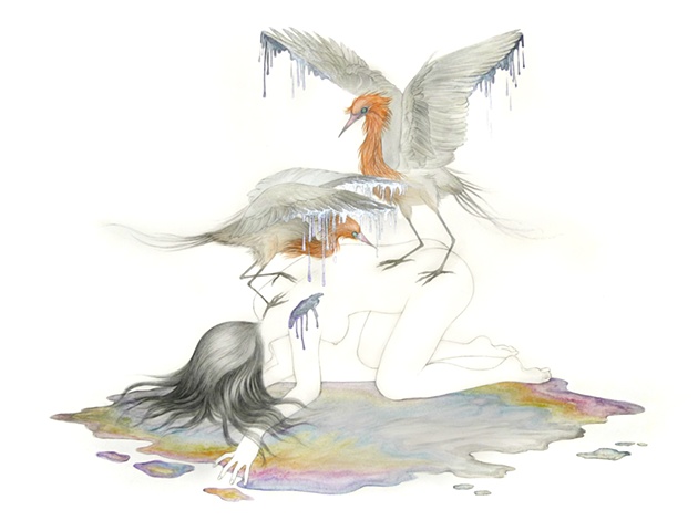 'Spill (Shelter)'