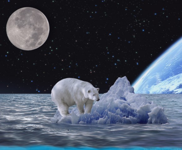 The Last Iceberg - Detail 1