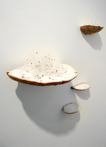 'Island Biogeography (for Robert MacArthur)'
