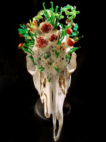 Relic from Wunderkammer                                             