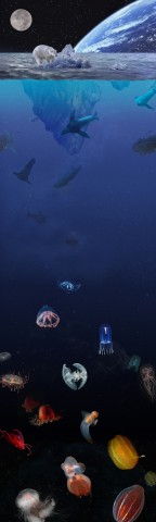 The Last Iceberg