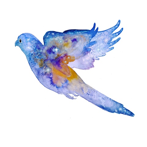 Painting of a parakeet filled with a nebule full of stars - environmental art, comment on nature's link between humanity and the cosmic