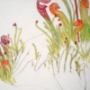 Deep Ecology - detail