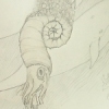 A Record of Ecosystems
(Evolving Simultaneity Scroll)