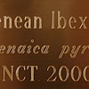 Detail of one of the museum-style plaques from the 'Extinction Portraits'