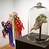'Relic from Wunderkammer' facing 'Selection: 23 Endangered Species' 