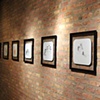 Cohabit
Solo Show at COOP 
Installation Shot