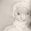 The Carolina Parakeet
Conuropsis carolinensis
Extinct 1918

