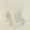 Pubic Mane (detail)
