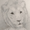 The European Lion
Panthera leo europaea
Extinct 100 A.D.

