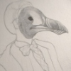 The Great Auk
Pinguinus impennis
Extinct 1844

