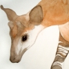 Wild Animals I Have Known 
(for Ernest Thompson Seton) - detail