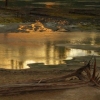 Allegory of Nature