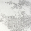 Within Our Kingdom, Things Unseen (detail)